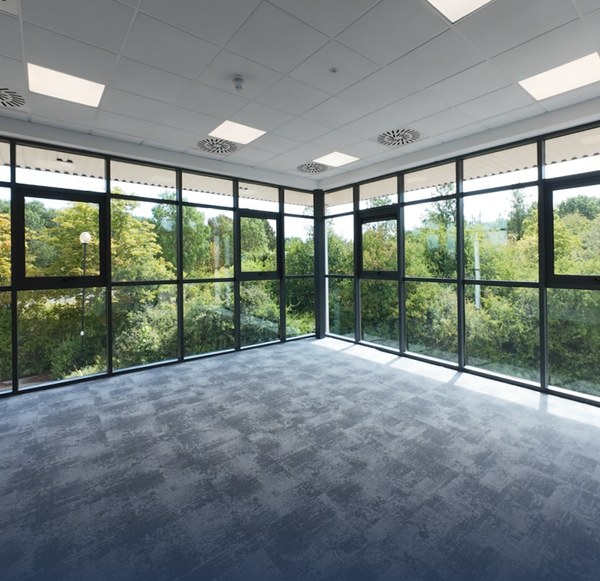 Refurbished office floor: grey carpet tiles, a suspended ceiling with recessed lights, and full-height glazing on two sides looking out to trees